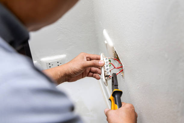 Best Local Electrician Companies  in Bear Creek, AK